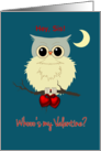 Sister Valentine’s Day Cute Owl Humor Whoo’s my Valentine? card