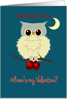 Twins First Valentine’s Day Cute Owl Humor Whoo’s my Valentine? card