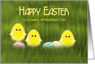 Granddaughter Easter Cute Chicks in Green Grass with Speckled Eggs card