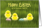 Niece Easter Cute Chicks in Green Grass with Speckled Eggs card