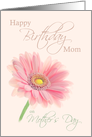 Mom Mother’s Day Birthday Pink Gerbera Daisy on Shell Pink card