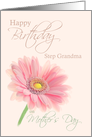 Step Grandma Mother’s Day Birthday Pink Gerbera Daisy on Shell Pink card