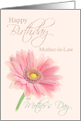 Mother in Law Mother’s Day Birthday Pink Gerbera Daisy on Shell Pink card