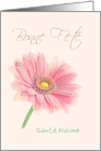 Bonne Fete Name Day France Pink Gerbera Daisy on Shell Pink Custom card