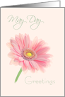 May Day Greetings Pink Gerbera Daisy on Shell Pink card