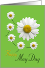 Happy May Day Daisy Design on Spring Green card