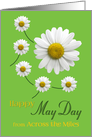 Happy May Day from Across the Miles Daisy Design on Spring Green card