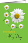 May Day Missing You Daisy Design on Spring Green card