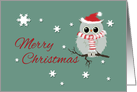 Christmas Cute Owl in Scarf and Santa Hat Merry Christmas card