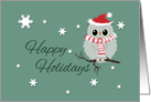 Christmas Cute Owl in Scarf and Santa Hat Happy Holidays card