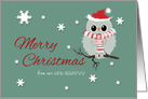 New Address Custom Merry Christmas Cute Owl Scarf Santa Hat card