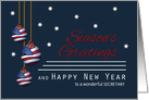 Secretary Patriotic Season’s Greetings Custom American Flag Ornaments card