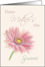 Grammie Happy Mother’s Day Pink Gerbera Daisy on Shell Pink card