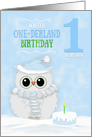 Boy Winter Onederland Birthday First Birthday Snowy Owl and Cake card
