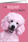 Fun Congratulations Graduation Tickled Pink Poodle card