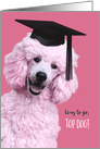 Dog Obedience School Graduation Congrats Pink Poodle card