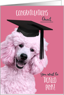 Aunt Fun Graduation Congratulations with Tickled Pink Poodle card