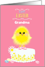 Grandma Easter Yellow Chick Cake and Speckled Eggs on Pink Custom card