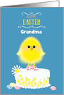 Grandma Easter Yellow Chick Cake and Speckled Eggs on Blue Custom card