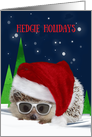 Hedgie Holidays Christmas Hedgehog in Santa Hat Humor card