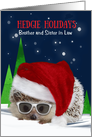 Hedgie Holidays Brother and Sister in Law Christmas Hedgehog Humor card