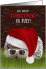 Christmas in July Hedgehog in a Santa Hat and Sunglasses card