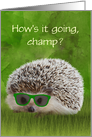 Miss you for Kids Hedgehog in Sunglasses Custom Front card