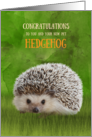 Congratulations on your New Pet Hedgehog Grass and Greenery card