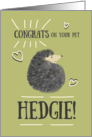 Congratulations on your New Pet Hedgie! Cute Whimsical Hedgehog Green card