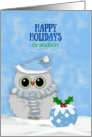 Christmas Grandson Snowy Owl and Festive Pudding Happy Holidays Blue card