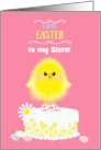 Sister Easter Yellow Chick Cake and Speckled Eggs Pink Custom card