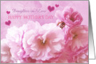 Daughter in Law Happy Mother’s Day Pink Cherry Blossoms card