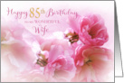 85th Birthday for Wife Pink Cherry Blossom Romantic card
