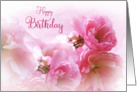 Soft Pink Cherry Blossoms Photo Artwork Happy Birthday card