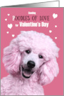 Valentine’s Day Funny Pink Standard Poodle Oodles of Love card