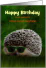 Great Great Nephew Birthday Hedgehog in Sunglasses Customize card