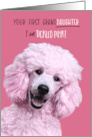 Congratulations Grandmother First Granddaughter Tickled Pink Poodle card