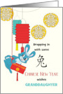 Granddaughter Chinese New Year Rabbit Swinging with Red Envelope card
