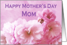 Large Print Mother’s Day Card for Mom Pink Cherry Blossoms card