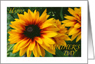 Happy Mother’s Day Yellow Black Eyed Susan in Sunshine card