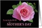 Mum Happy Mother’s Day Pink Rose Floral Custom text card