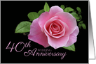 40th Wedding Anniversary Romantic Pink Rose card