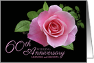 Grandparents 60th Wedding Anniversary Pink Rose Floral Custom card