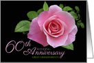 Great Grandparents 60th Wedding Anniversary Pink Rose Floral. card