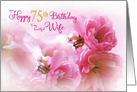 75th Birthday for Wife Pink Cherry Blossom Romantic card