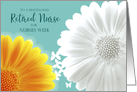 Nurses Week Retired White and Orange Gerbera Daisies Floral card
