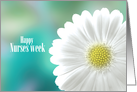 Happy Nurses Week Bright Daisy on Aqua Greens Soft Focus Background card