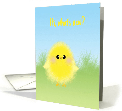 Hi, What's New? Cute Fluffy Chick to say Hello Blank Inside card