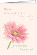 Admin Professionals Day for Receptionist Pink Gerbera Daisy card