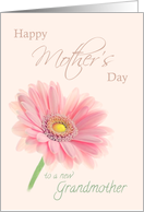 New Grandmother Happy Mother’s Day Pink Gerbera Daisy Pink card